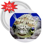 5 3  Button (100 pack)