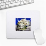 5 Large Mousepad