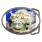 5 Belt Buckle