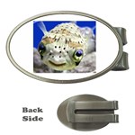 5 Money Clip (Oval)