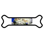 5 Magnet (Dog Bone)