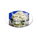 5 Sticker Oval (100 pack)