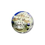 5 Golf Ball Marker (10 pack)