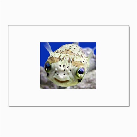 5 Postcard 4 x 6  (Pkg of 10) from ArtsNow.com Front