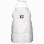 5 BBQ Apron