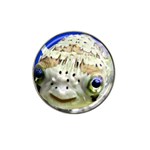 5 Hat Clip Ball Marker (4 pack)