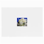 5 Glasses Cloth (Large, Two Sides)