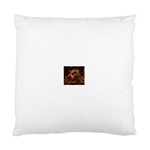 3 Cushion Case (Two Sides)