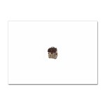 010cf Sticker A4 (100 pack)