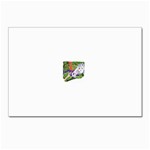 Tunicorn4 Postcards 5  x 7  (Pkg of 10)