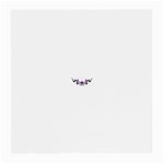 tpurplebutterfly Glasses Cloth (Medium, Two Sides)