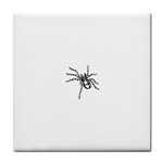 spider15336 Tile Coaster