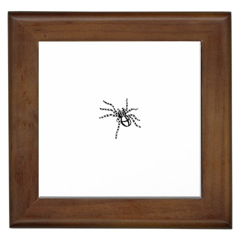 spider15336 Framed Tile from ArtsNow.com Front