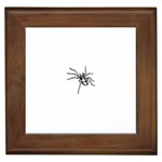 spider15336 Framed Tile