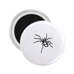 spider15336 2.25  Magnet