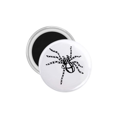 spider15336 1.75  Magnet from ArtsNow.com Front