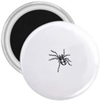 spider15336 3  Magnet