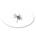 spider15336 Magnet (Oval)