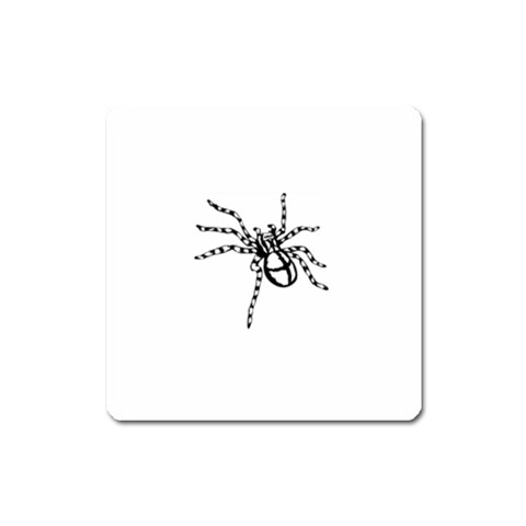 spider15336 Magnet (Square) from ArtsNow.com Front