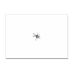 spider15336 Sticker A4 (10 pack)