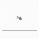 spider15336 Postcard 4  x 6 