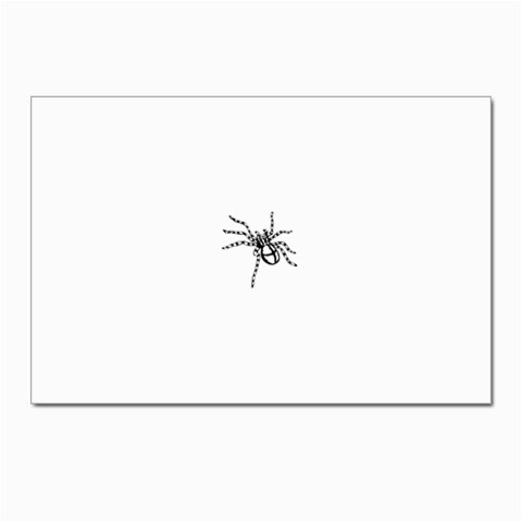 spider15336 Postcard 4 x 6  (Pkg of 10) from ArtsNow.com Front