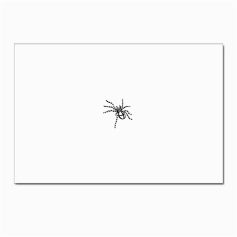 spider15336 Postcards 5  x 7  (Pkg of 10) from ArtsNow.com Front