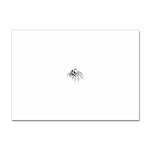 spider18401 Sticker A4 (10 pack)