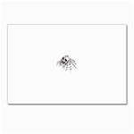 spider18401 Postcard 4 x 6  (Pkg of 10)