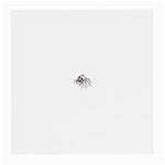 spider18401 Glasses Cloth (Medium, Two Sides)
