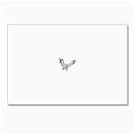 eagle15764 Postcards 5  x 7  (Pkg of 10)
