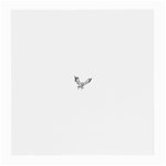 eagle15764 Glasses Cloth (Medium)