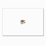 flowerrose18599 Postcard 5  x 7 