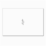 flowers3070 Postcard 4 x 6  (Pkg of 10)