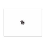 leo19079 Sticker A4 (10 pack)