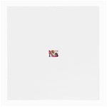 3-556881-0-2-1 Glasses Cloth (Medium, Two Sides)
