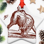 Angry bull Ornament (Star)