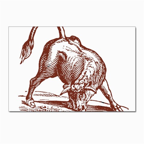 Angry bull Postcard 4 x 6  (Pkg of 10) from ArtsNow.com Front