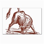 Angry bull Postcard 5  x 7 