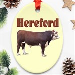 Hereford Ornament (Oval)