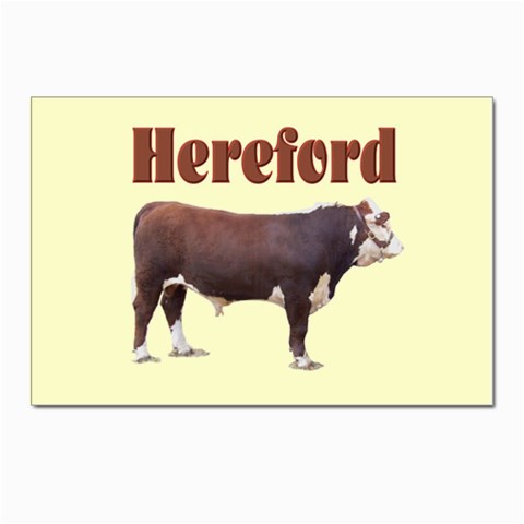 Hereford Postcards 5  x 7  (Pkg of 10) from ArtsNow.com Front