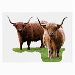 Highland Glasses Cloth (Large)