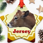 Jersey Ornament (Star)