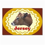 Jersey Postcards 5  x 7  (Pkg of 10)