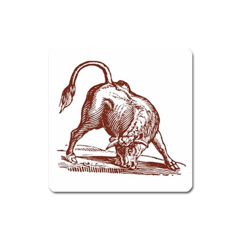 Angry bull Magnet (Square) from ArtsNow.com Front