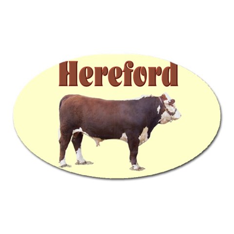Hereford Magnet (Oval) from ArtsNow.com Front