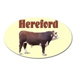 Hereford Magnet (Oval)