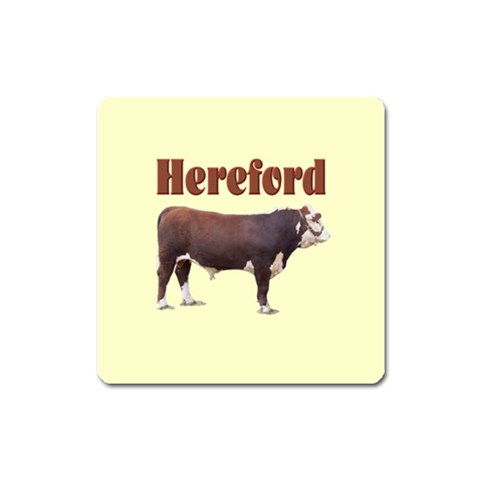 Hereford Magnet (Square) from ArtsNow.com Front