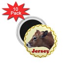Jersey cow 1.75  Magnet (10 pack) 