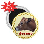 Jersey cow 2.25  Magnet (100 pack) 